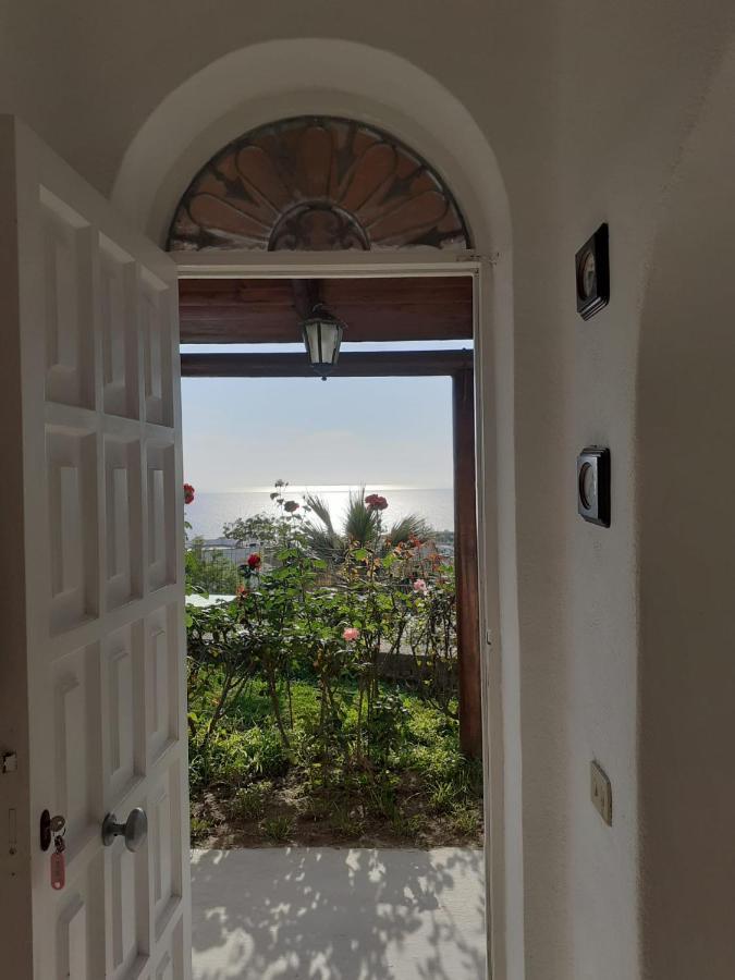 Bed and Breakfast La Terrazzina Sul Tramonto Forio di Ischia Zewnętrze zdjęcie