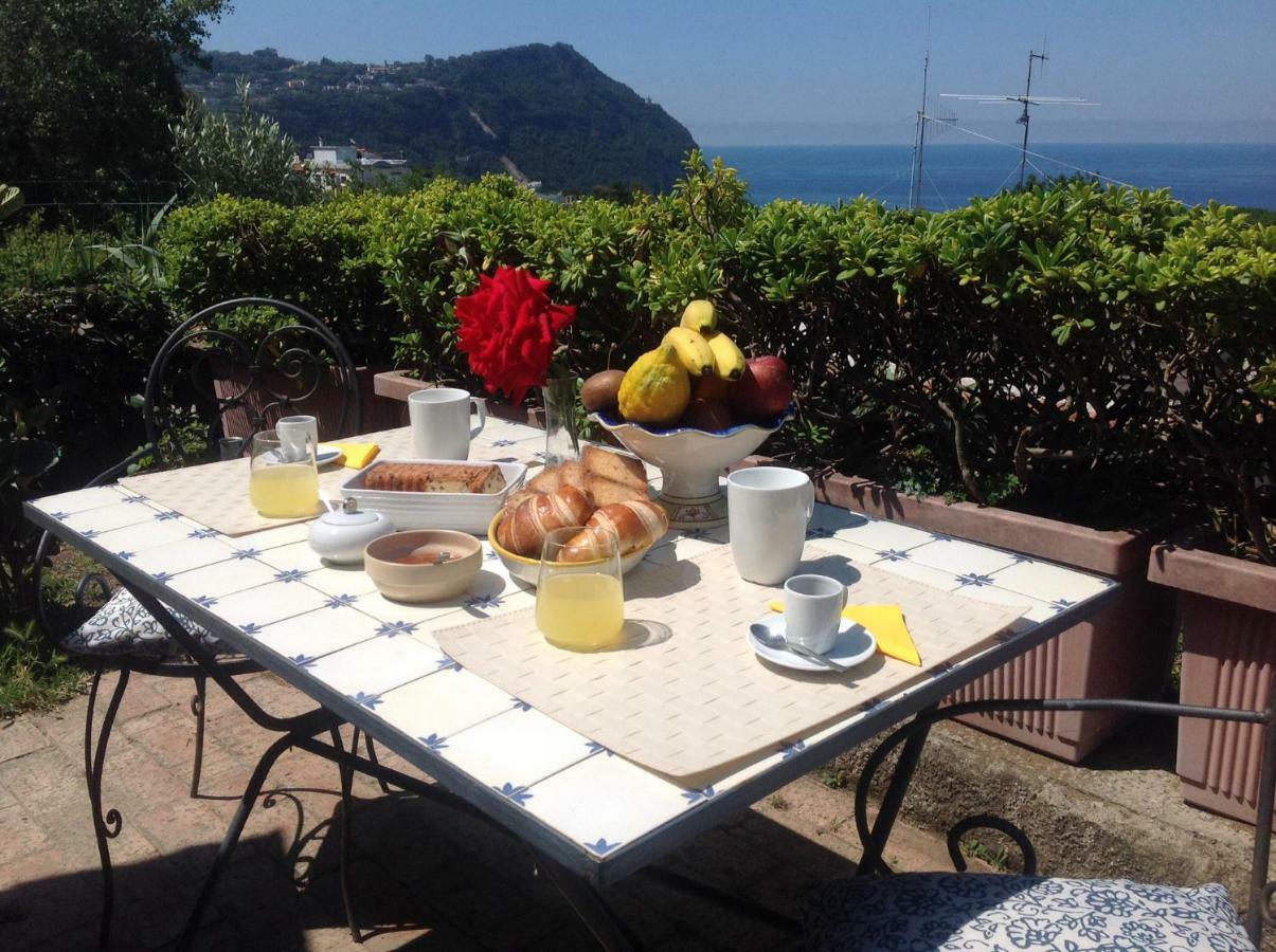 Bed and Breakfast La Terrazzina Sul Tramonto Forio di Ischia Zewnętrze zdjęcie