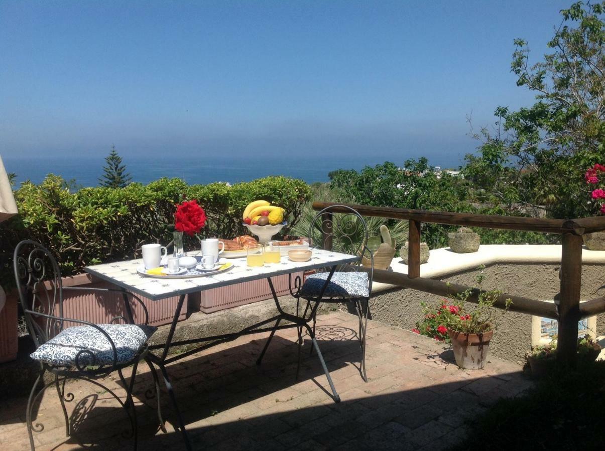 Bed and Breakfast La Terrazzina Sul Tramonto Forio di Ischia Zewnętrze zdjęcie