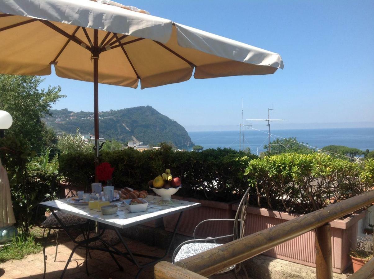 Bed and Breakfast La Terrazzina Sul Tramonto Forio di Ischia Zewnętrze zdjęcie