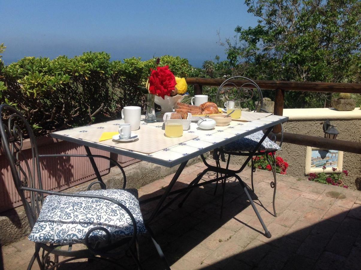 Bed and Breakfast La Terrazzina Sul Tramonto Forio di Ischia Zewnętrze zdjęcie