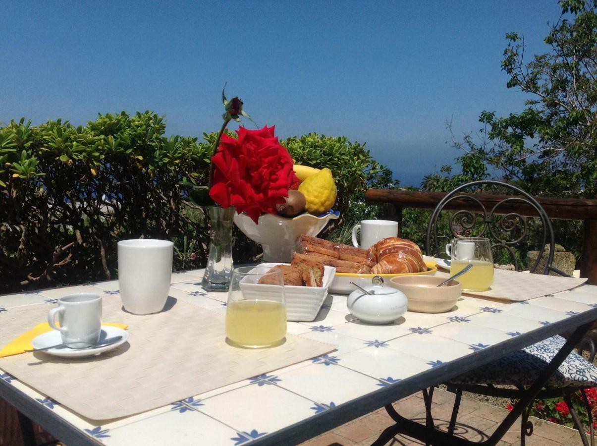 Bed and Breakfast La Terrazzina Sul Tramonto Forio di Ischia Zewnętrze zdjęcie