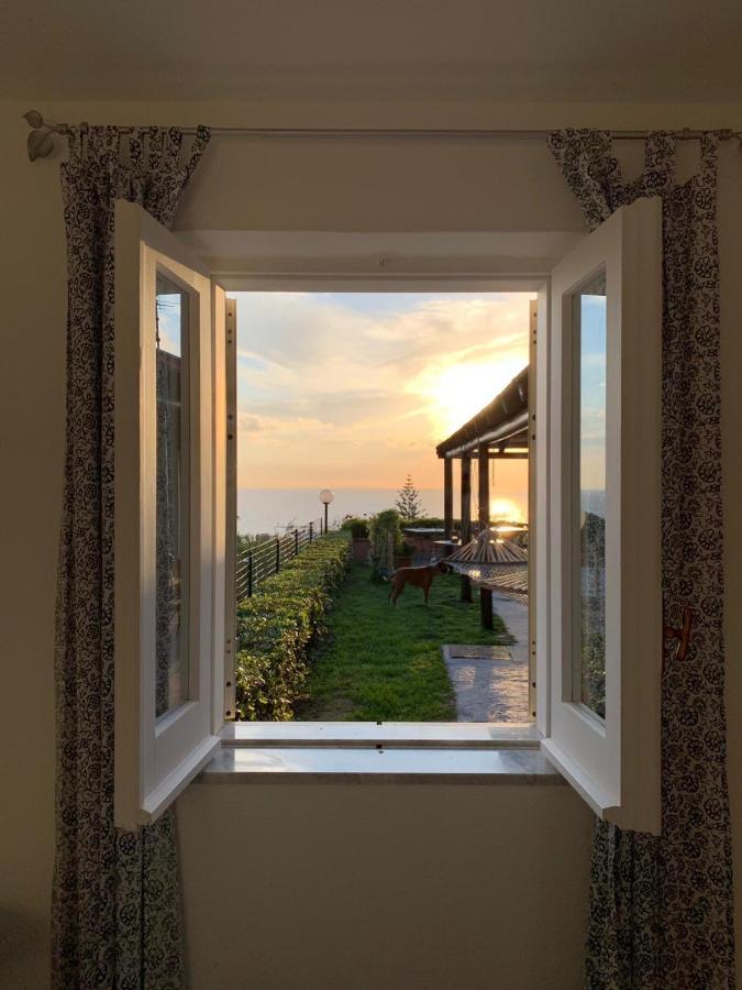 Bed and Breakfast La Terrazzina Sul Tramonto Forio di Ischia Zewnętrze zdjęcie